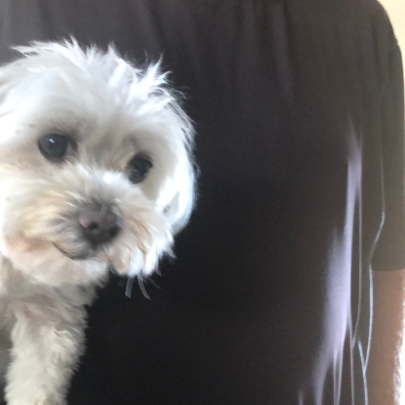 Meet your Posher, Joann - Picture 1 of 1